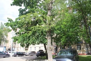 Продажа помещения свободного назначения 220 м², Варшавское шоссе, 70к1, фото 8