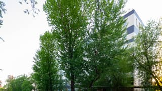 Аренда офиса 420 м², ул. Докукина, 16с1, фото 5