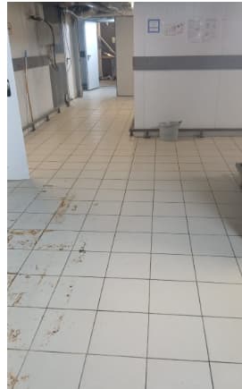 Аренда помещения свободного назначения 320 м², Видное, ул. Берёзовая, 9, фото 1
