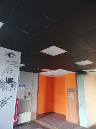 Аренда помещения свободного назначения 56,2 м², ул. Ягодная, 8к2, фото 1