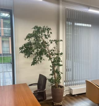 Аренда офиса 54 м², Научный проезд, 14Ас1, фото 3