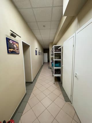 Аренда помещения свободного назначения 185,5 м², ул. Кантемировская, 7к1, фото 3