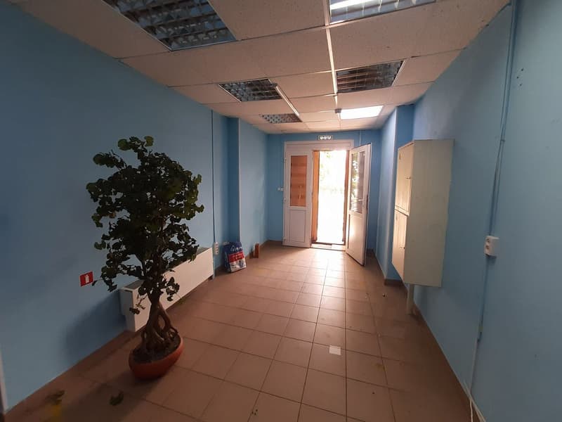 Продажа помещения свободного назначения 150,3 м², ул. Святоозерская, 34