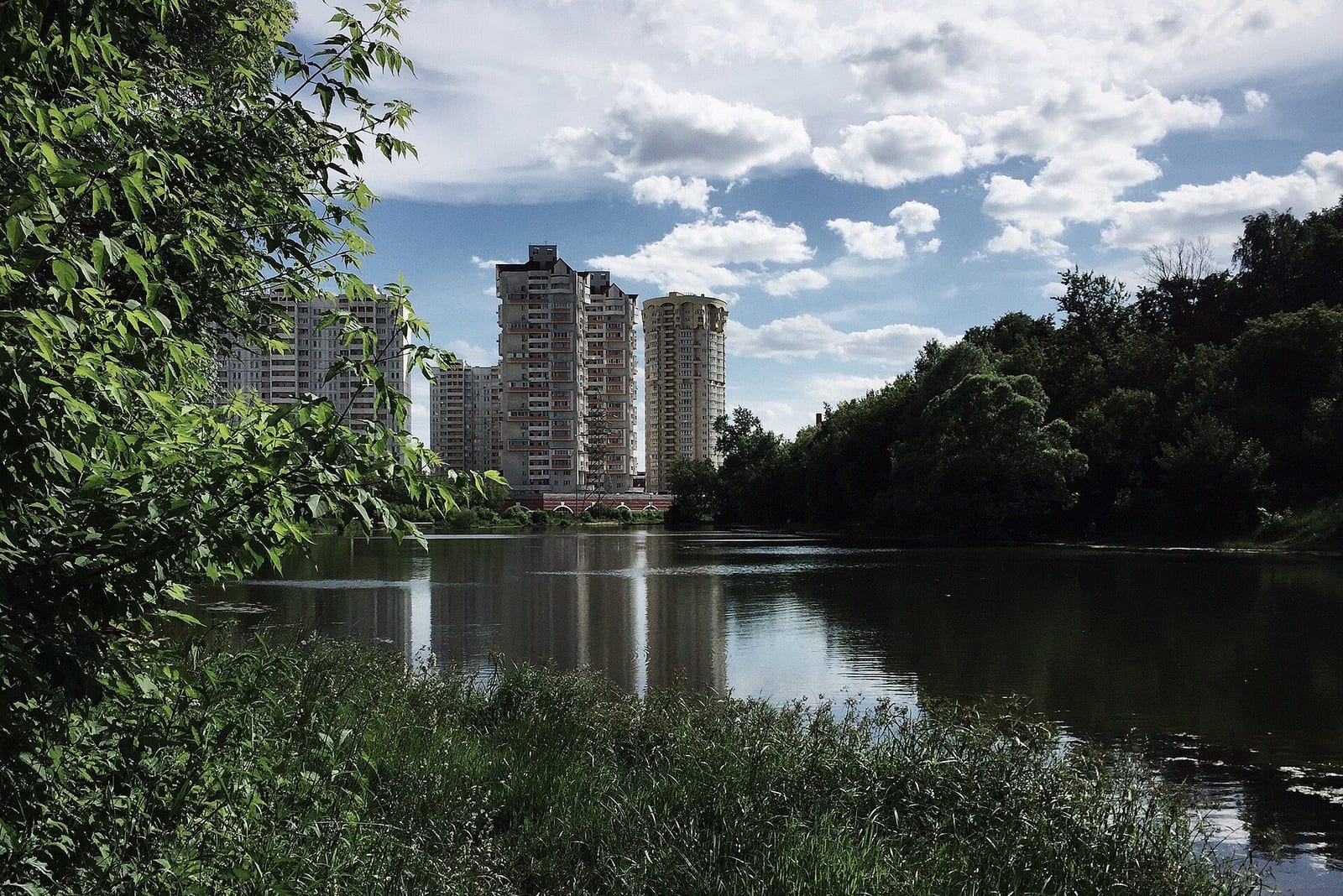 Казённый пруд на краю Яузского лесопарка, вдали дома в начале Краснобогатырской улицы. июнь 2015