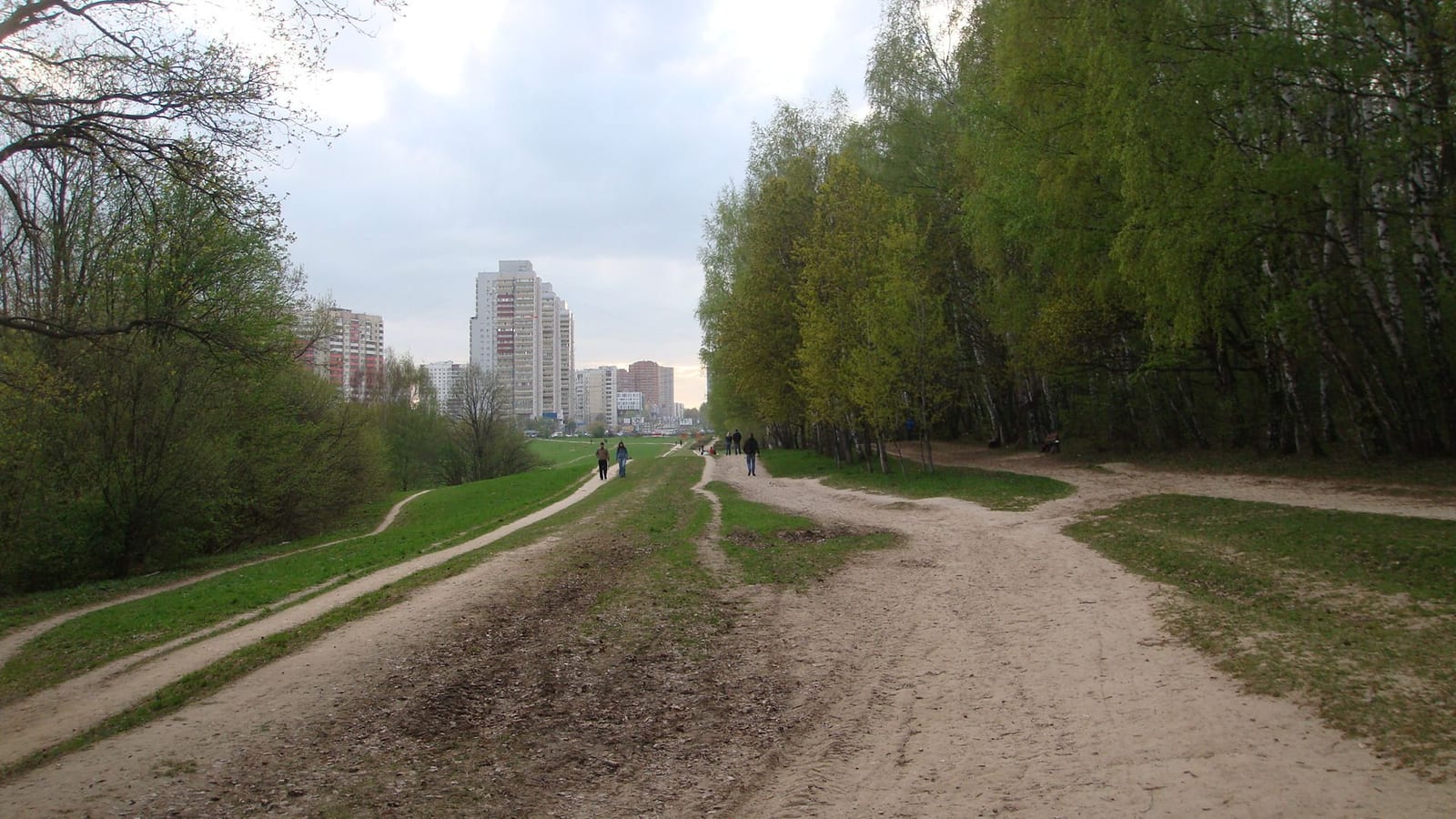 Тропа из Битцевского леса к домам Беляево. Опушка леса служит восточной границей района. май 2012