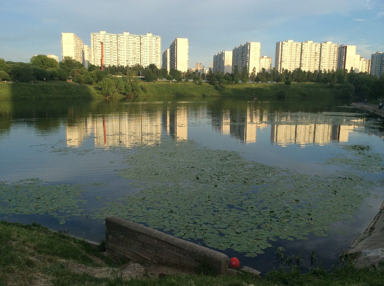 Большой Очаковский пруд на речке Очаковке, вид от дамбы. июнь 2015