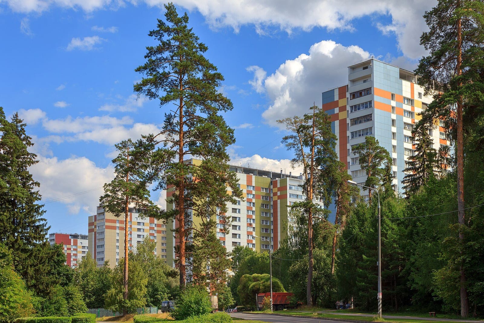 Панельные дома 9-го микрорайона среди сохранённых сосен. июль 2014