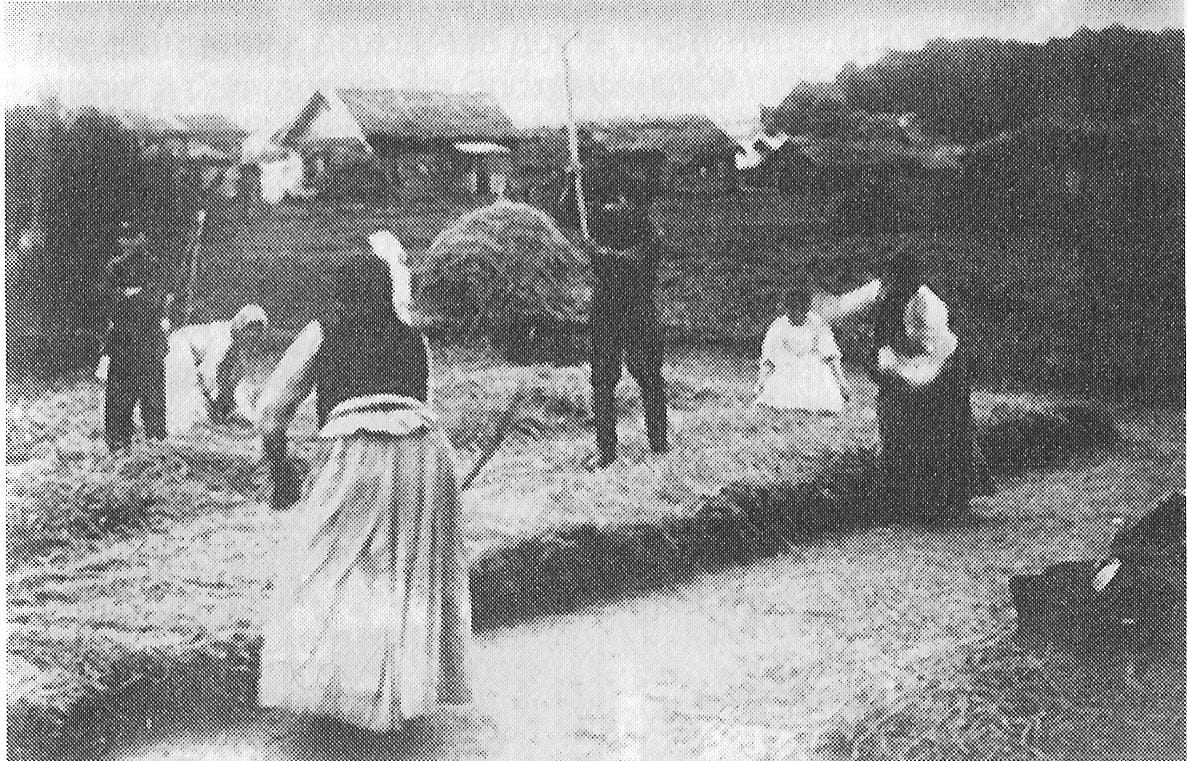 Молотьба в селе Троице-Лыково. Фото Н. А. Востокова, 1908