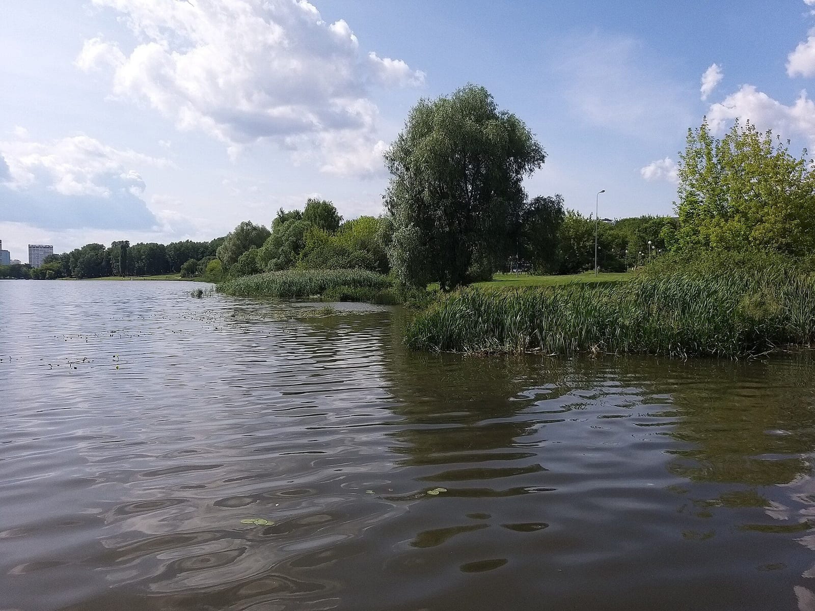 Парк имени Шкулёва на северном берегу Люблинского пруда. По берегу проходит граница с районом Люблино. июль 2023
